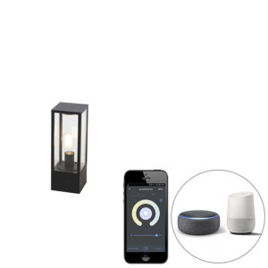 Smart buitenlamp zwart 40 cm IP44 incl. Wifi ST64 - Charlois