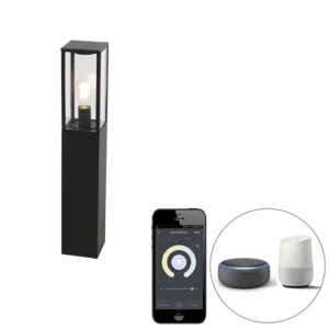 Smart buitenlamp zwart 80 cm IP44 incl. ST64 - Charlois