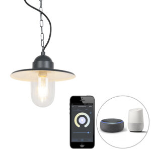 Smart buiten hanglamp antraciet IP44 incl. Wifi ST64 - Kansas grafiet