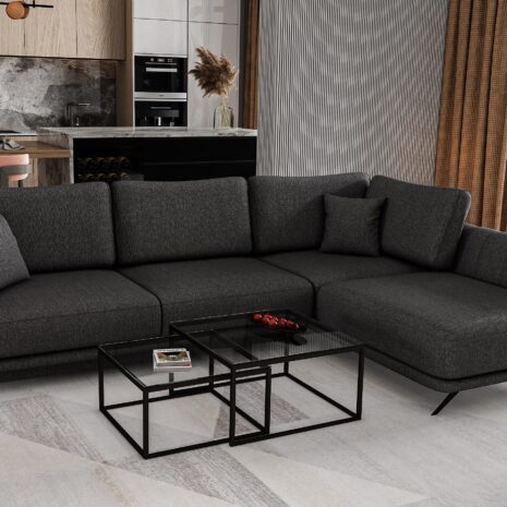 377901-7_rohova-sedacia-suprava-larde-prava-up9